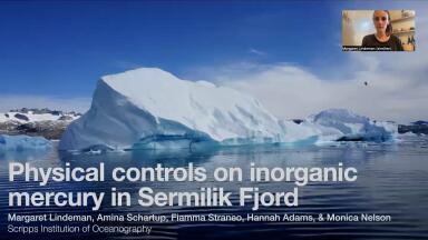 Mercury Distribution in Sermilik Fjord, Southeast Greenland
